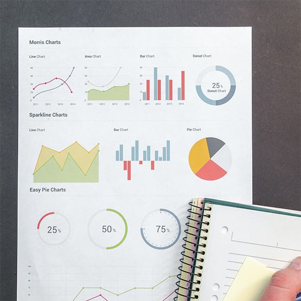 Reports and charts image